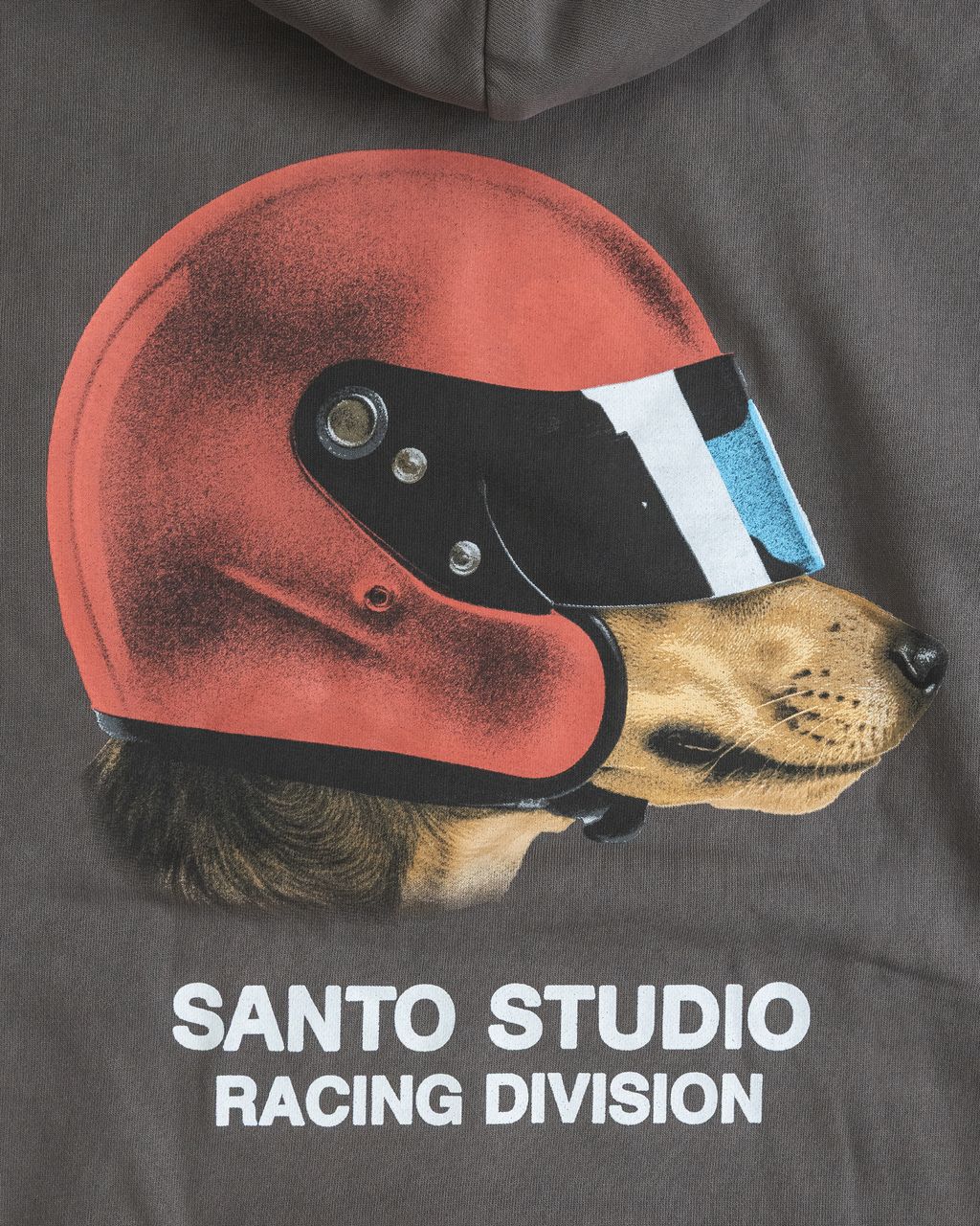 Speed Dogs Hoodie