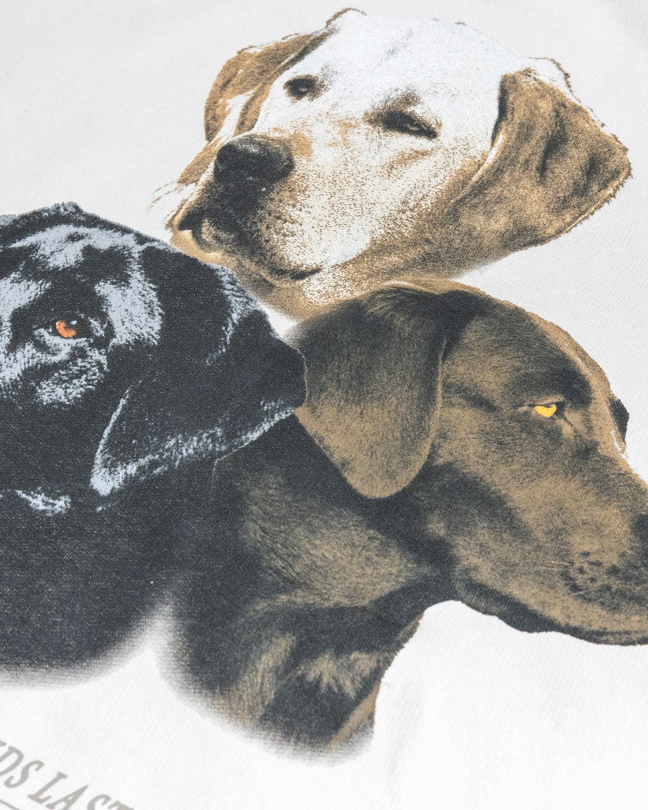 Forever Crew Sweater