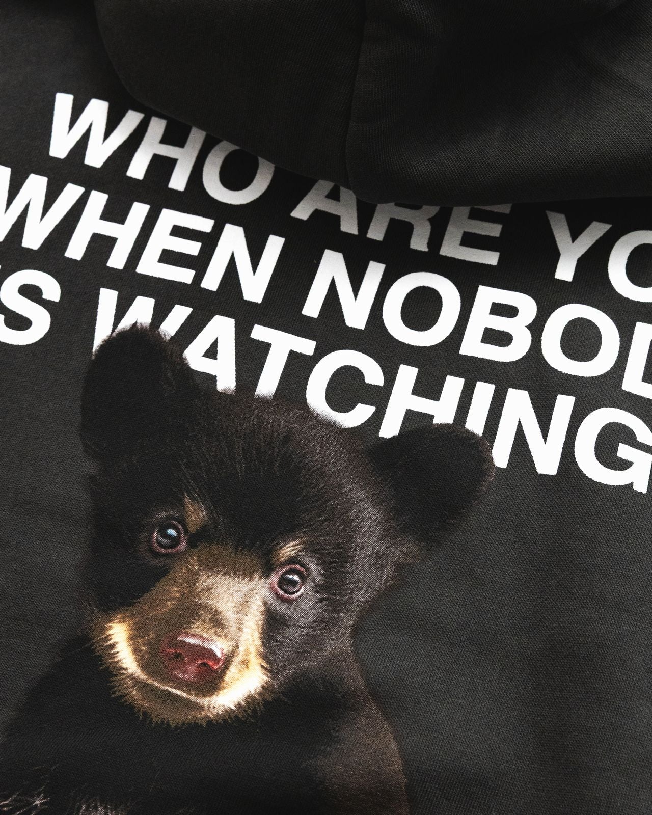 Watching Pullover Hoodie