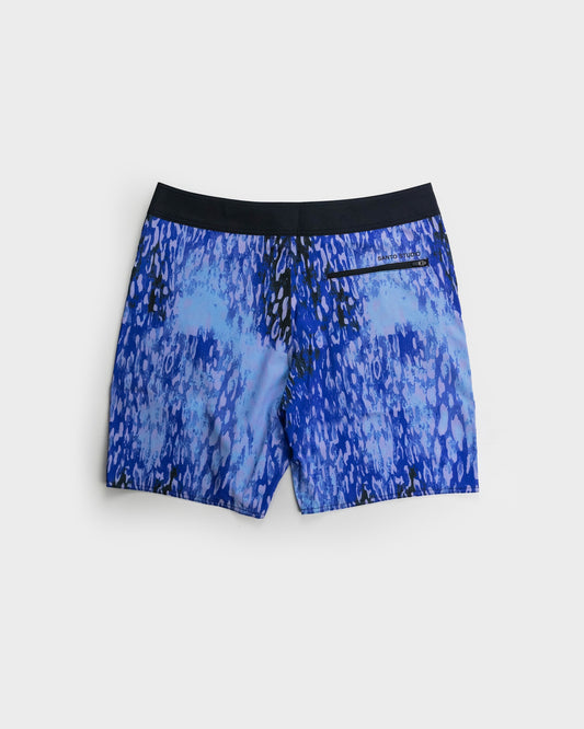 Cheetah Blue
