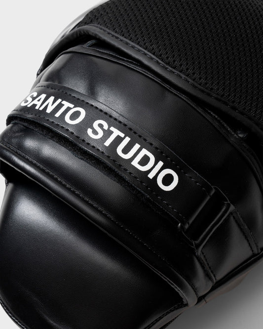 Pro Boxing Mitts