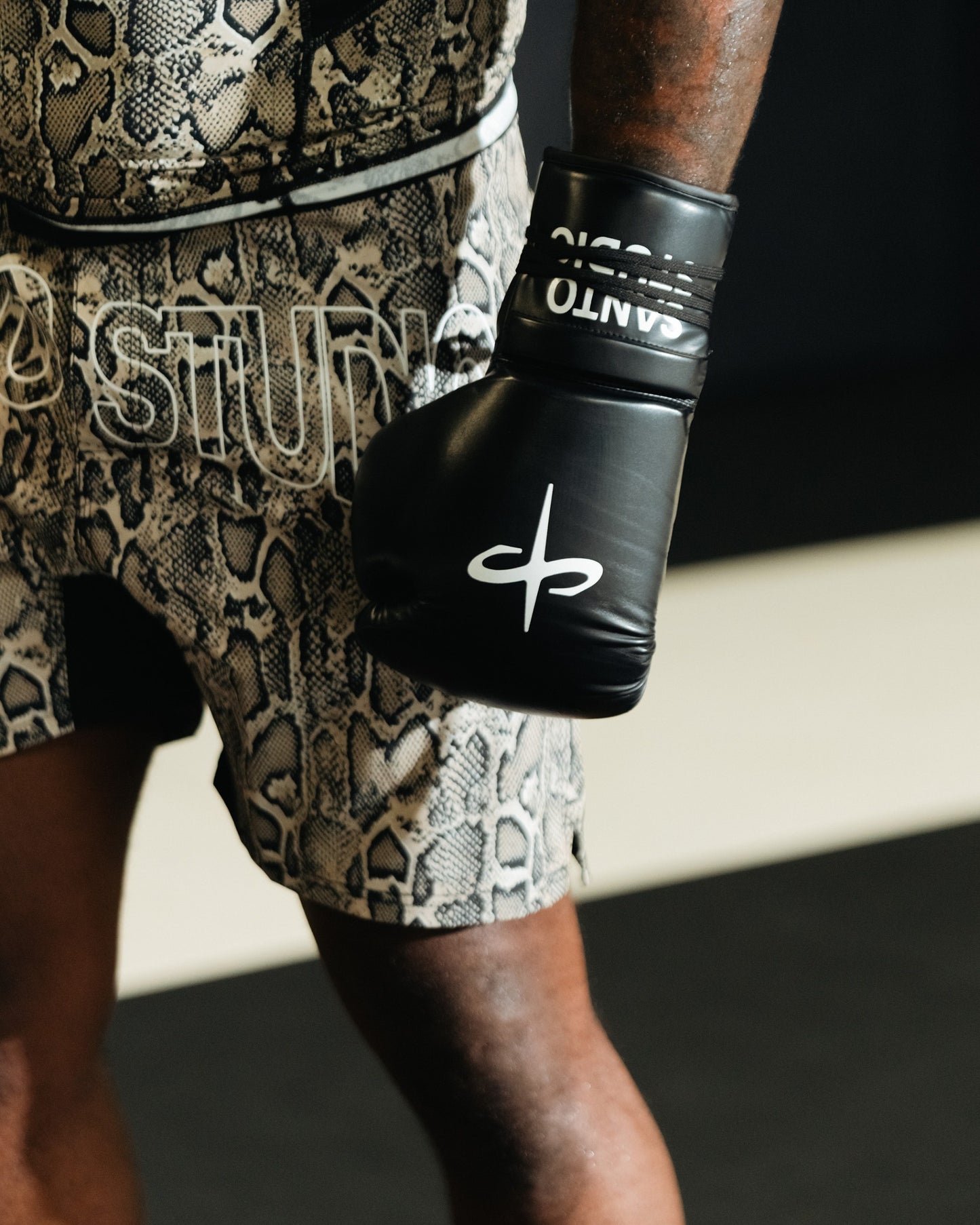 Lace Up Pro Boxing Gloves