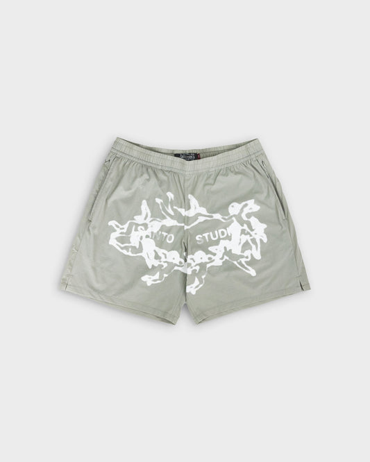 Vision Training Tempo Shorts