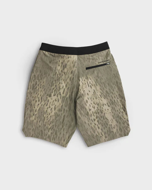 Cheetah Brown