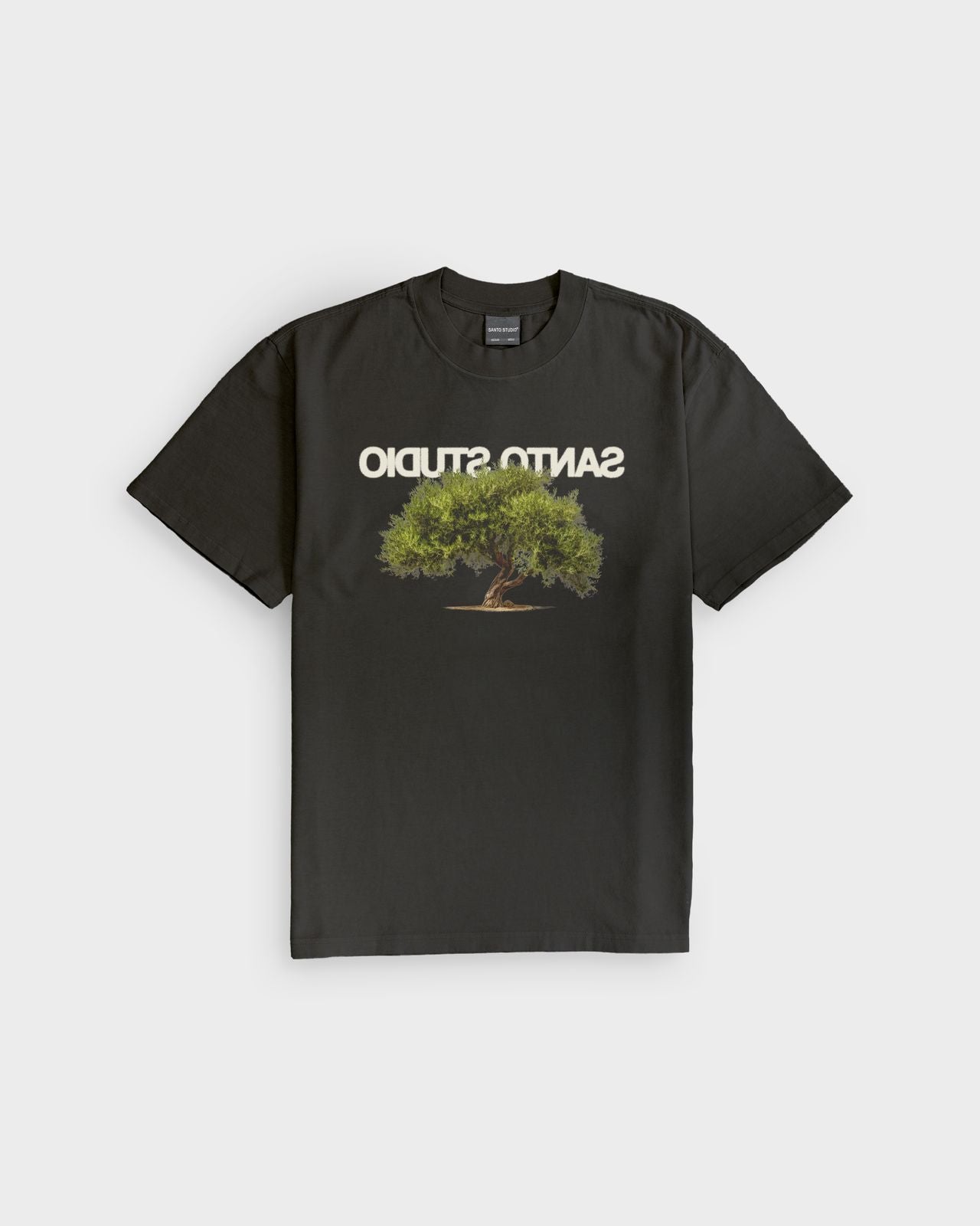 THE ROW オリーブ Tシャツ Mサイズ Olive Tree Tee – Santo Studio