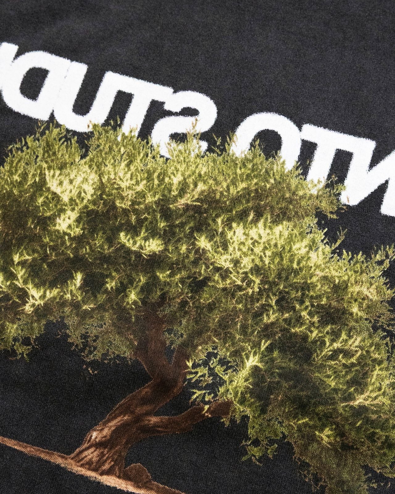 Olive Tree Tee – Santo Studio