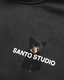 Watching Pullover Hoodie