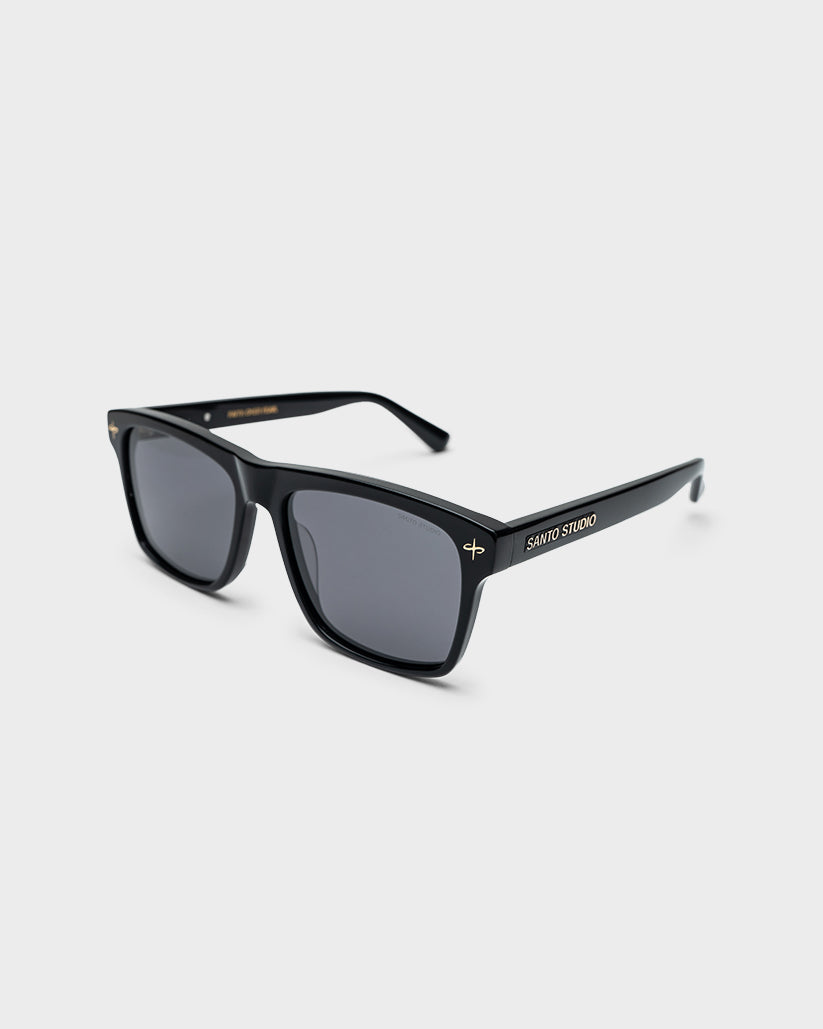 Sheckler Sunglasses
