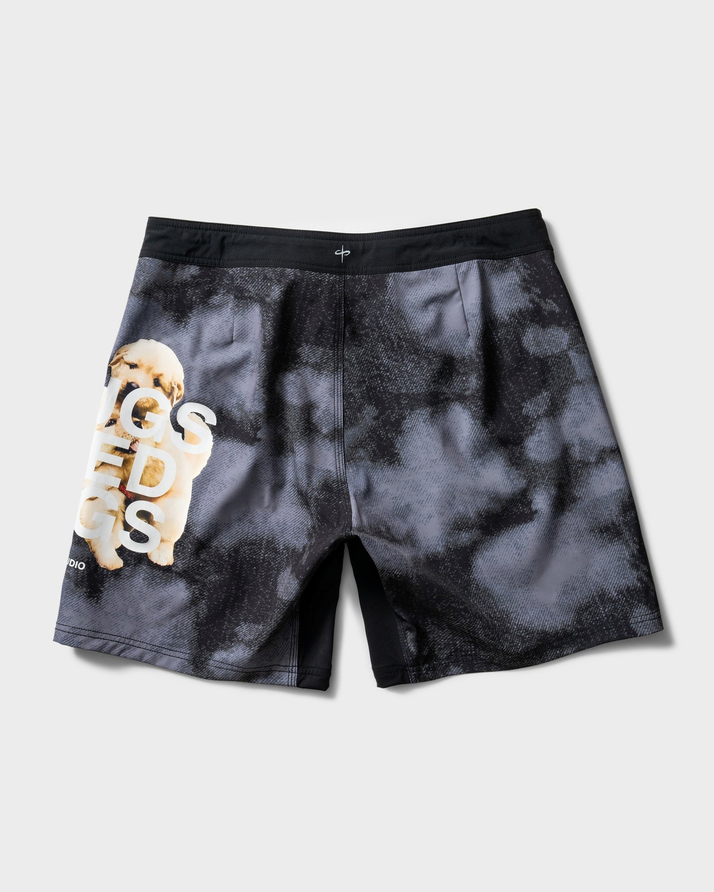 Submission Training Shorts