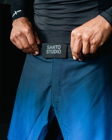Submission Training Shorts