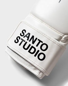 Powerlock Pro Boxing Gloves