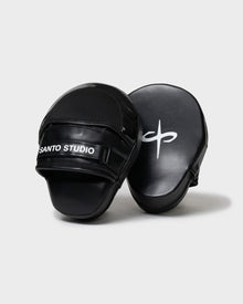 Pro Boxing Mitts