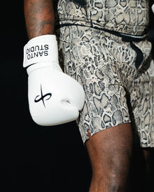 Powerlock Pro Boxing Gloves